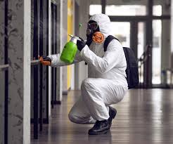 Trusted Nampa, ID Mold Removal & Remediation Experts